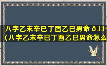 八字乙末辛巳丁酉乙巳男命 🐬 （八字乙末辛巳丁酉乙巳男命怎么样）